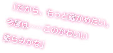 「だから、もっと確かめたい。今度は……このかわいい膨らみかな」