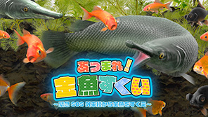 あつまれ！金魚すくい ～緊急SOS外来種から金魚をすくえ～