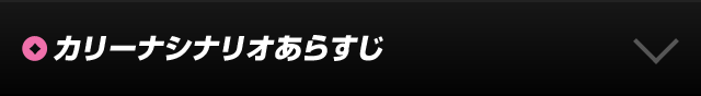 シナリオあらずじ